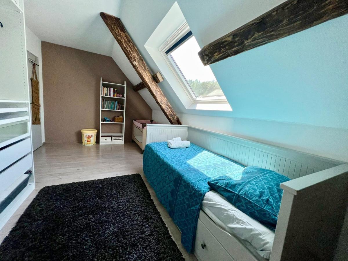 Superbe Appartement Duplex A Kaysersberg En Alsace מראה חיצוני תמונה