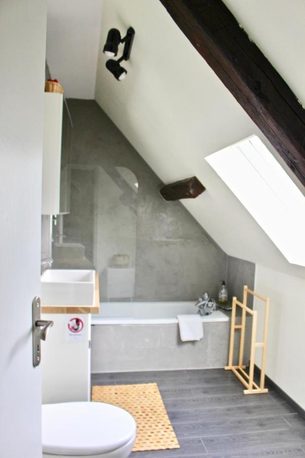 Superbe Appartement Duplex A Kaysersberg En Alsace מראה חיצוני תמונה